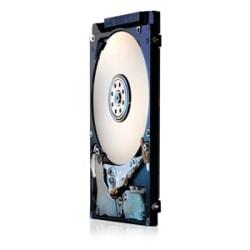 UPC 829686001640 product image for HGST Travelstar Z5K320 HTS543225A7A384 250 GB 2.5in. Internal Hard Drive | upcitemdb.com
