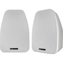 BIC America Indoor/Outdoor Speaker - 2-way
