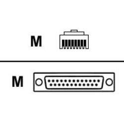 Digi RJ45 to DB25 Cable