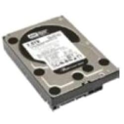 UPC 884942981616 product image for Lenovo 67Y1402 1 TB 3.5in. Internal Hard Drive | upcitemdb.com