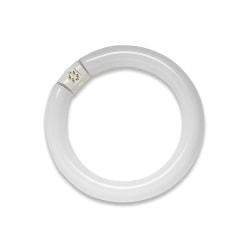Havells USA Circline Fluorescent Tube Bulb, 22 Watts