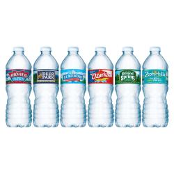 UPC 082657844411 product image for Nestle Waters Regional Spring Water, 16.9 Oz. Per Bottle, Case Of 24 | upcitemdb.com