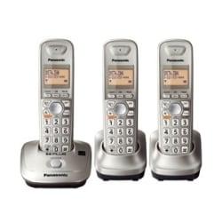 Panasonic KX-TG4013N Cordless Phone - 1.90 GHz - DECT 6.0 - Champagne Gold