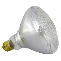 Havells USA Blown Glass Outdoor Flood Lamp Bulb, 150 Watts