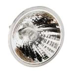 Apollo Overhead & Slide Projector Replacement Lamps