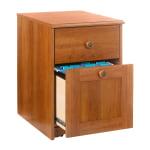 Sauder(R) New Traditional 2-Drawer Mobile File Cabinet