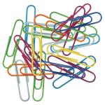 Fashion Paper Clips  Assorted Sizes  Assorted Colo