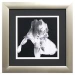 Framed Artwork  Iris Photography