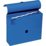 Wilson Jones R  ColorLife R  Insertable-Tab Expand