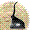 Notary Services